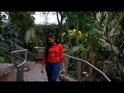 Butterfly Conservatory
