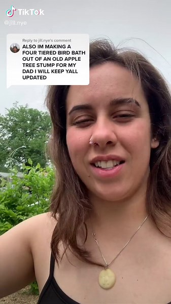 DIY Tree Stump Bird Bath Update for Father's Day!