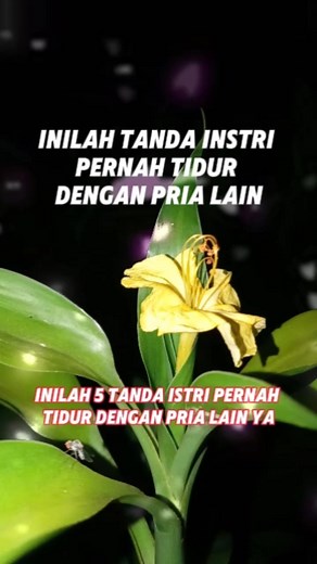 1.8K reactions · 193 shares | Inilah Tanda istri pernah tidur dengan pria lain #hutang #lancomeofficial #contentcreatorlife #fbreels2024 #doa #amalan #selingkuh #metaforfacebook #cara #tutorial #fakta #info #motivasi #pecintahabib #resep #viral #ciri #tanda #alam #efek #mantan | Siti Walidah | Facebook