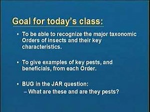 VIDEO: Introduction to Entomology - Part I