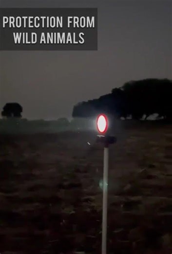 BLJ LED Rechargeable Light – Powerful & Long-Lasting #NewProduct#BestQuality#MustHave#ViralProduct#T