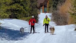 Local Now TV Spot, 'At Home'