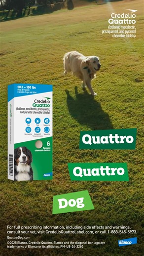Talk to your Vet about Credelio Quattro™. *Based on label comparison...