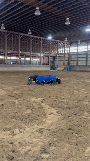 Raven’s favorite part about Thanksgiving are the rolls! 🍞🥖🥐 Happy Thanksgiving, everyone! | Evergreen Farms