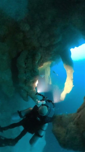 Diving the Great Blue Hole in Belize, view at 41m/135ft #bluehole #belize #diving #cave