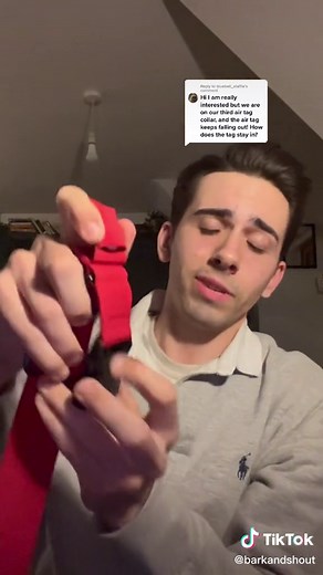 Bark and Shout Airtag Collar Review