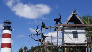 The True Story of Monkey Island Florida - NatureCoaster.com