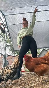 The new meaning of the chicken dance 🐓 #chickentenders #chickencoop #chicken #dance #chickendance | Jodie Oates-The Yorkshire Lass
