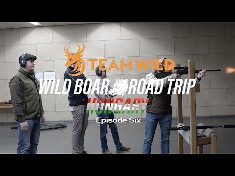 Wild Boar Hunting: Target Practice at the Blaser Shooting Cinema