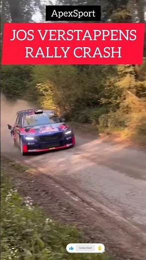 J. Verstappen was SO LUCKY here!