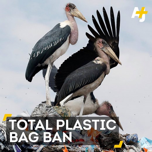 307K views · 1.6K shares | You could now risk four years in prison and a $40K fine for producing, selling or even using a plastic bag here. | AJ+ | Facebook