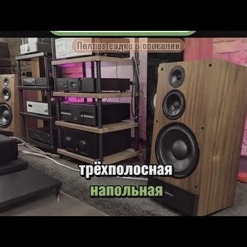 Ditonica System 7 Power: 3-Way Speaker Review