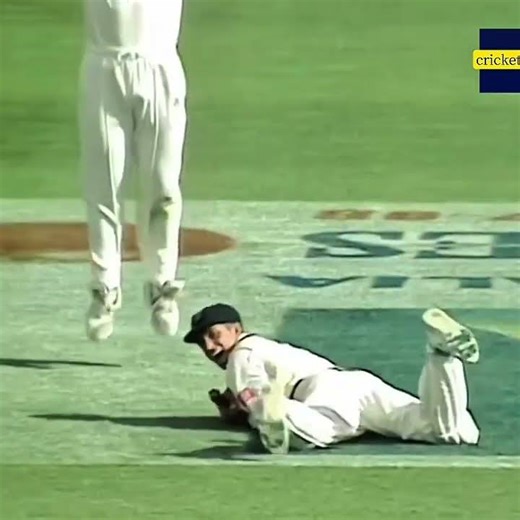 When White Lightning Allan Donald Humiliated Steve Waugh With Several Body Blows _ Explained
