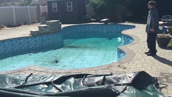 Loop Loc Safety Cover Removed From Pool
