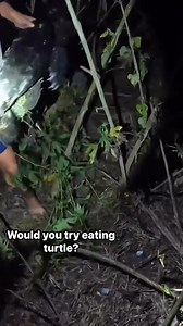 1.2M views · 12K reactions | Would you try alligator snapping turtle for dinner? #Louisiana #turtle | Outside the Levees | Facebook