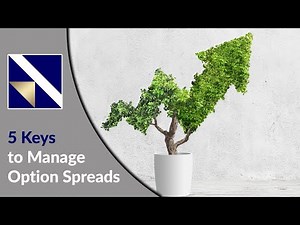 5 Keys to Manage Option Spreads for Steady Income | VectorVest