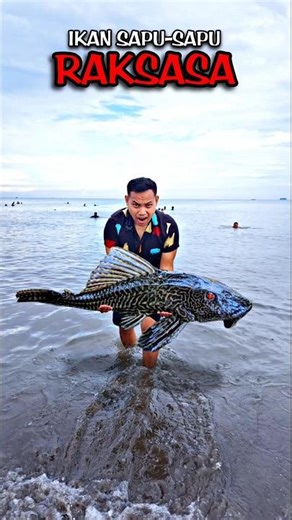 What❗How to Get Giant Sweeper Fish❗Here's How to Make It❗#editing #tutorial