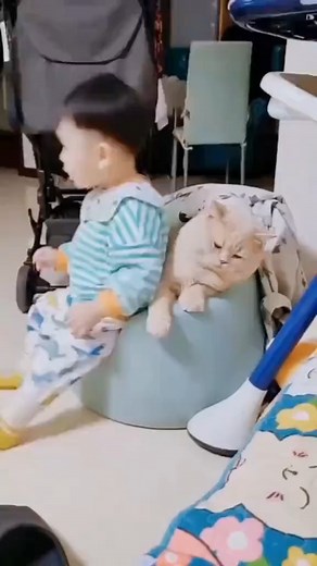 7.5K views · 123 reactions | Cat vs Babies | Kitty 1st | Facebook