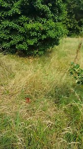 2.8M views · 19K reactions | Check out who has set up home at the...