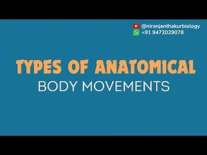 Mastering Anatomical Body Movements | 🦴 Musculoskeletal System Explained 💪" #locomotionandmovement