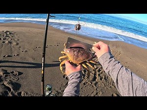 GAUGE BUSTER Crab Snaring on a Beautiful California Beach