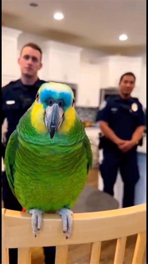 34K views · 1.3K reactions | Officer: “Did you install a new alarm...