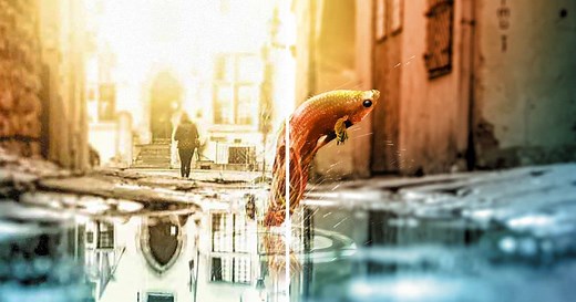 Removing JPEG artifacts from photos - Corel Discovery Center