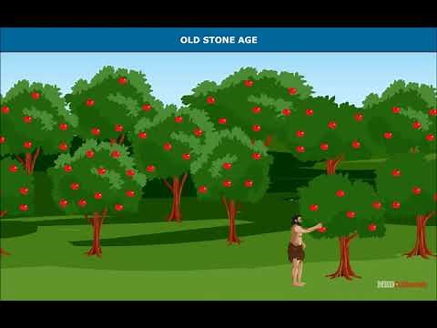 On the Trail of the Earliest People | The Early Phase of Human Life | History | Class 6