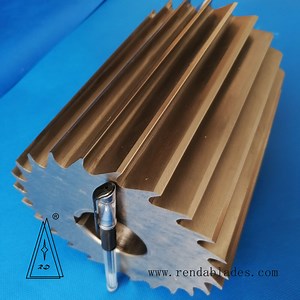 [Hot Item] HSS Inlay Rotary Cutter Knife for Strand Pelletizer Machine