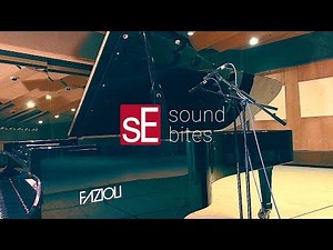 SoundBites: sE8 + Grand Piano