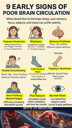 9 Early Signs of Poor Brain Circulation 🧠⚠️ (Science-Backed Warning Signs)