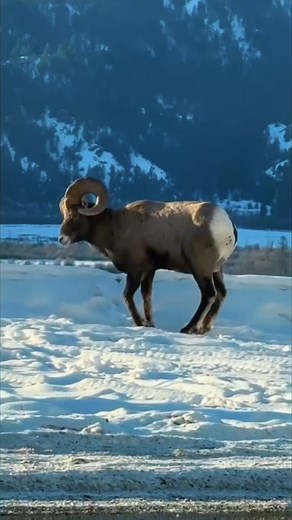 1.2K reactions · 74 shares |  Un passage sécurisé pour préserver la...