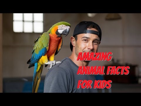 Amazing Animal Facts For Kids