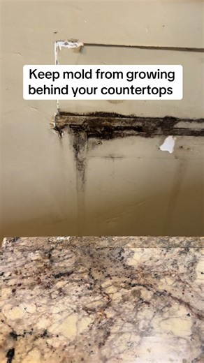 #mold #blackmold #moldtesting #moldexposure #moldremoval