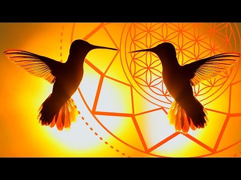 528 Hz | Positive Energy Frequency, Happiness Vibes, Feel Good, Emotional & Physical Healing