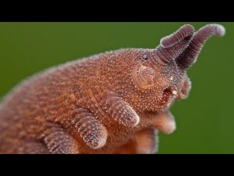 Remember who you are...