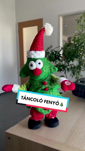 Amikor a karácsonyi dekoráció elrontja a pillanatot😬🎄 #foryou #foryoupage #fy #fypage #nekedbe #nekedbee #karácsony