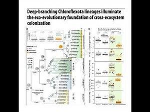 835-Eco-evolutionary of cross-ecosystem colonization