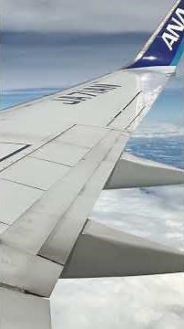 飛行状況を丁寧に説明してくれるANAの機長さんの機内アナウンス #機内アナウンス #パイロット