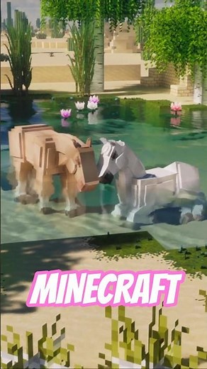 CAN WE RESCUE THESE HORSES FROM THE DESERT IN 100 DAYS?🐎☀️