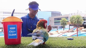 It's World Parrot Day! Celebrate by showing how much you care for these intelligent and talented birds and their habitats! Through simple acts such as proper waste disposal and minimising the use of non-biodegradable packaging, we can protect the environment and save our feathery friends' homes from being occupied by environmentally harmful landfills. Simple acts create BIG IMPACTS! If Rocky the Hybrid Macaw can do it, you can do it too! #WorldParrotDay #ManilaOceanPark #MOPMoments | Manila Ocea