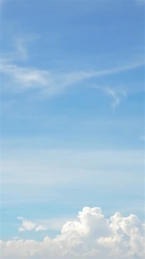 Our Tree of Life program gives young people a safe space to explore their story, build confidence and imagine their future through drawing their own Tree of Life.🌳 This in-person art counselling group is designed for youth ages 10 to 16 and helps them reflect on their roots, strengths and goals in a supportive environment. 💬 Learn more or register at stridestoronto.ca/program-service/tree-of-life Or call 416-438-3697. Press 1 for English, then choose option 3 for Mental Health Services. | Stri