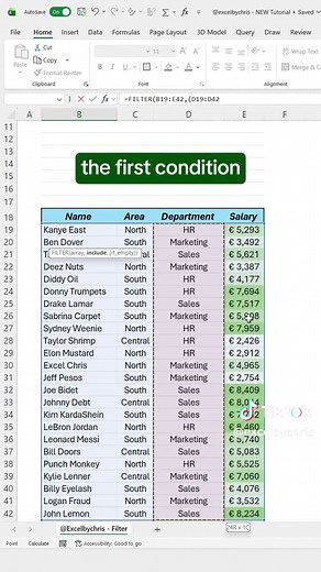 How to use the Filter function with a single and multiple criteria! #excel #spreadsheet #corporate