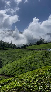 32K views · 1K reactions | Eravikulam National Park Munnar  Chill Weather  | Munnar - Travel Planners | Facebook
