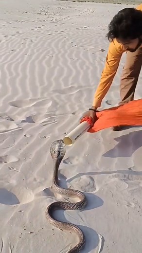 Amazing........ | News 2.0