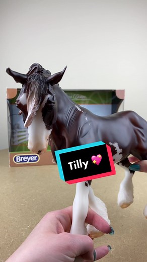 ASMR unboxing of the beautiful Tilly - a Limited Edition Breyer Traditional model for #BreyerFest2023! 💖 Tilly is a Drum Horse mare who has been named the breed association’s High Point Show Winner four times. #breyer #modelhorse #drumhorse #drafthorse #horsegirl #unboxing #asmr #fyp