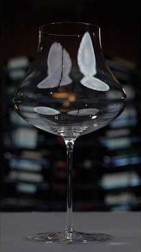 🍷AWESOME Wine Glass for Red Burgundy & PINOT NOIR