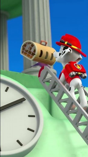 Chase and Marshall having trouble catching a bat - Paw patrol