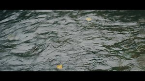 【Real life choo-choo train】 Have you ever wanted to ride a real choo-choo train? 🚂 You can with the SL Banetsu Monogatari! 🛤️ Enjoy beautiful views of nature along the JR Ban'etsu West Line, and experience up close how a steam locomotive train works. The SL Banetsu Monogatari is a restored steam locomotive train originally built in the 1940s! Due to its elegant appearance, it has earned the nickname Kifujin (noble lady). Hop on and explore the Railway of Forests, Water, and Romance - the Ban'e