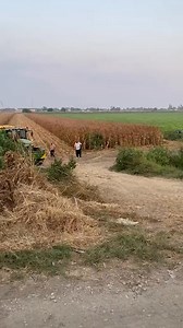 1.3M views · 19K reactions | Farm life is the best life #agriculture #farming #farm #tractor #johndeere #fendt #agro #nature #landwirtschaft #agri #newholland #harvest #organic #global #claas #masseyferguson #caseih #agricultureworldwide | Barringde Woodland | Facebook